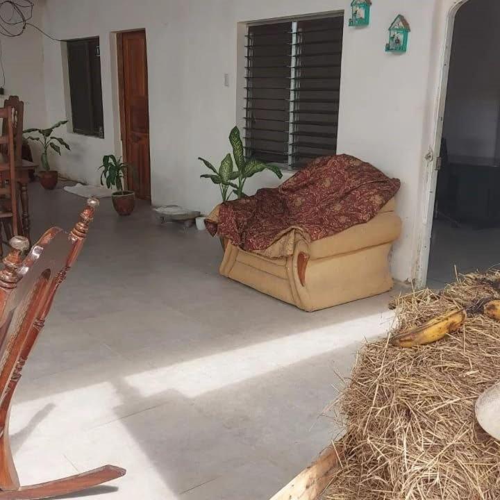 ריבאס Hostal Brisas Del Ometepe מראה חיצוני תמונה